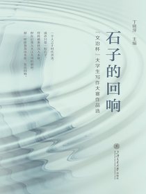 石子的回响