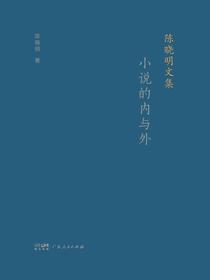 陈晓明文集：小说的内与外