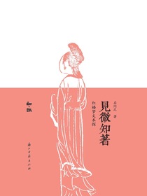 见微知著：红楼梦文本探