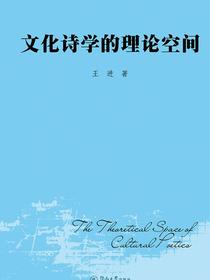 文化诗学的理论空间