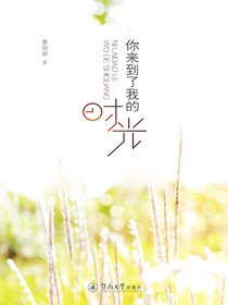 你来到了我的时光