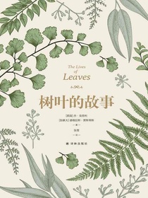 树叶的故事