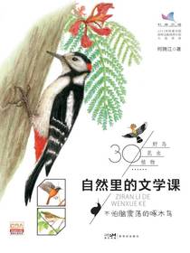自然里的文学课：不怕脑震荡的啄木鸟