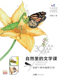 自然里的文学课：谁都不敢和螳螂打架