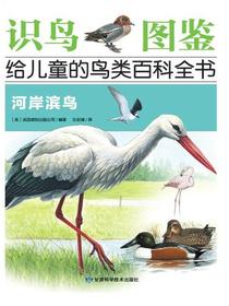 河岸滨鸟（识鸟图鉴.给儿童的鸟百科全书）