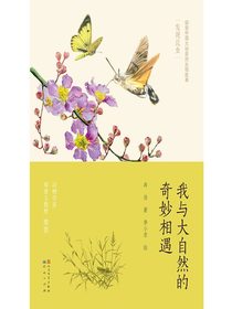 我与大自然的奇妙相遇：发现昆虫