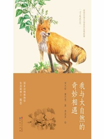 我与大自然的奇妙相遇：寻觅兽类