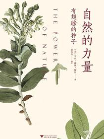 自然的力量：有翅膀的种子