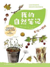我的自然笔记：发现一棵树