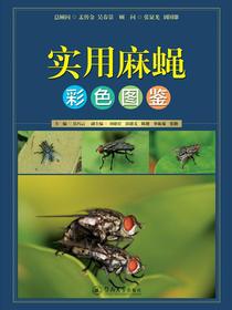 实用麻蝇彩色图鉴