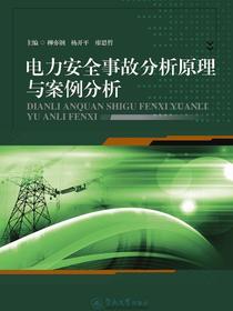电力安全事故分析原理与案例分析
