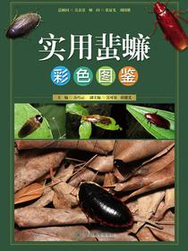 实用蜚蠊彩色图鉴