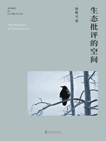 生态批评的空间