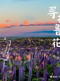 寻找鲁冰花